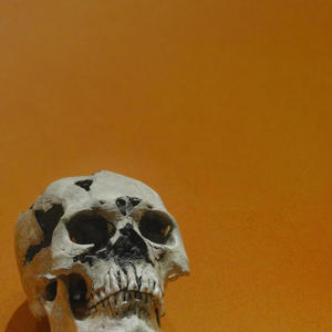 Campesino (Explicit)