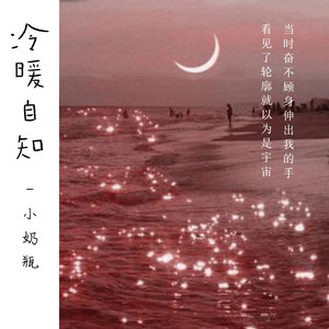 欢快西域曲封面