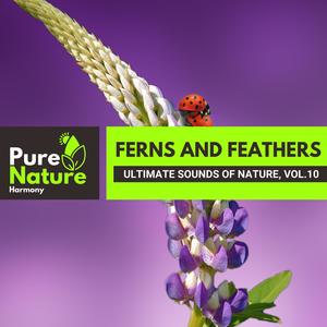 Ferns and Feathers - Ultimate Sounds of Nature, Vol.10