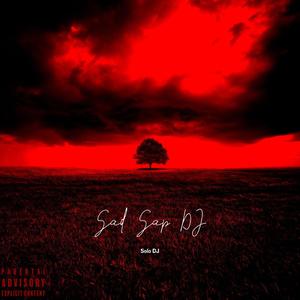 Sad Sap DJ(feat. Bradley Moon) (Explicit)
