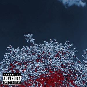 Crystal Castle (Explicit)