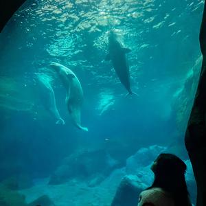 Natural Beauty (Explicit)