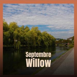 Septembre Willow