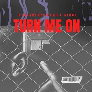 Turn Me On (feat. CJ Singz)