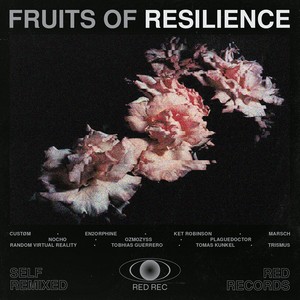 Fruits Of Resilience (Self Remixed) [Explicit]