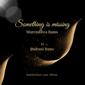 Something Is Missing