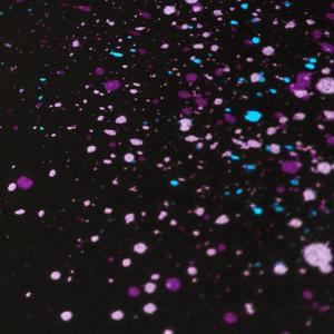 SPECS(feat. J Chinnasz & Angelo Leo) (Explicit)