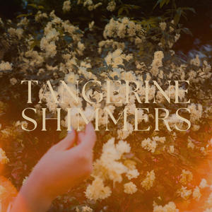 Tangerine Shimmers