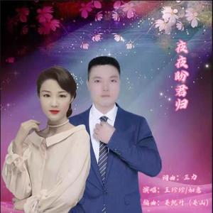 夜夜盼君归 (对唱版伴奏)