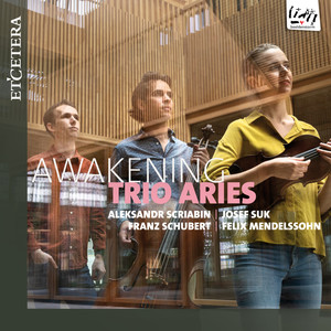 Piano Trio D. 897, Op. Post. 148 in E-Flat Major