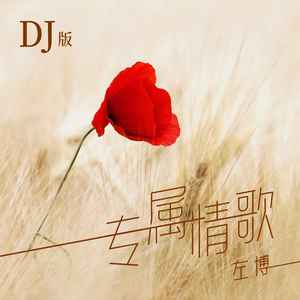 专属情歌 (DJ版伴奏)