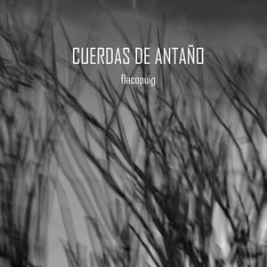 No solo el tiempo (feat. Bruno Torino)