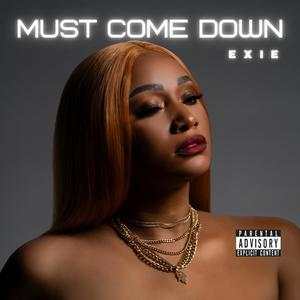 Must Come Down (Explicit)