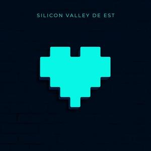 Silicon Valley de Est (feat. Mircea Vintila)