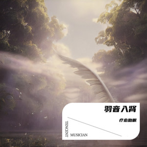 羽音入肾