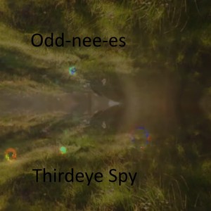 Odd-nee-es