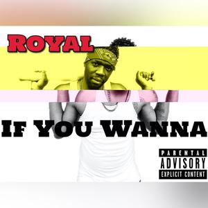 If You Wanna (Explicit)