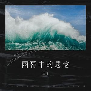 喧嚣中的孤独者封面