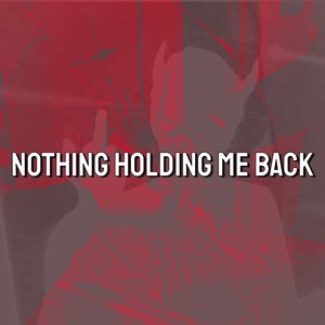 I've Been Shaking Holding me Back (Tiktok Remix)