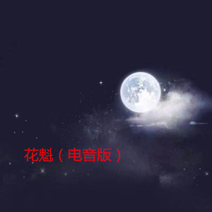 初恋的地方 (电音版)