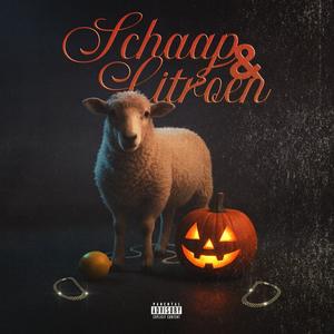 IN DE BAN VAN DESIGNER (feat. WDNL) (Explicit)