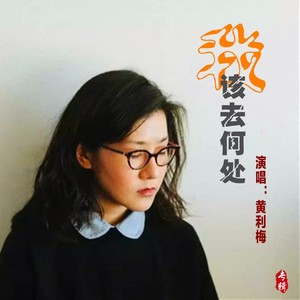我该去何处 (DJ林祥版)