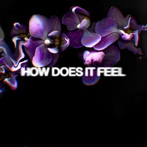 HOW DOES IT FEEL? (feat. Frigo)