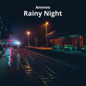 Rainy Night