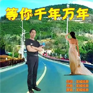 等你千年万年封面