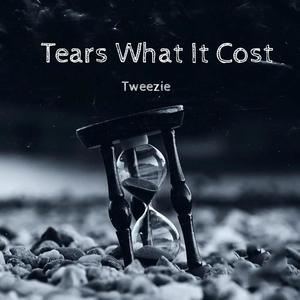 What It Cost (Explicit)