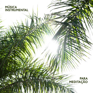 Música Instrumental para Meditação