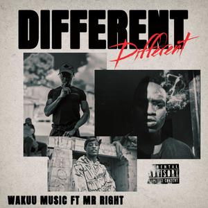 DIFFERENT (feat. Mr Right|Explicit)