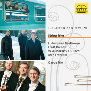 String Trio in D Major, Op. 9 No. 2 - String Trio in D Major, Op. 9 No. 2: II. Andante quasi allegretto