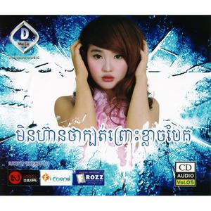 DIAMOND MUSIC Vol. 05 (មិនហ៊ានថាក្បត់ព្រោះខ្លាចបែក)