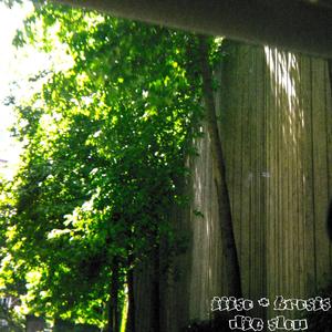 die slow (feat. IIISO) (Explicit)