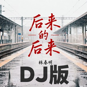 后来的后来-林春明