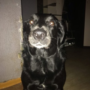 Я псих? (Explicit)