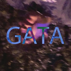 GATA (Explicit)