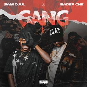 Gang (feat. Bader Che) [Remix]