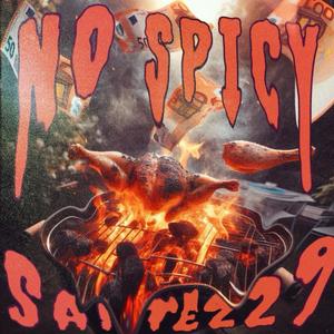 NO SPICY (feat. 33Ars) [Explicit]