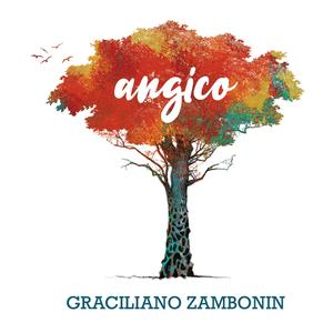 Frevo Brasil Grande(Frevo Big Brazil)