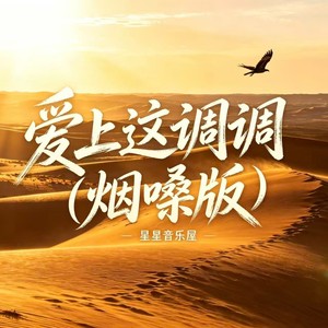 爱上这调调 (烟嗓版)封面