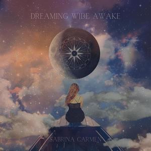 Dreaming Wide Awake