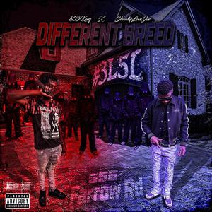 Different Breed (feat. Shawtylovejoc) [Explicit]