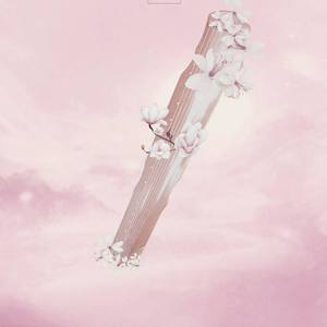 【策】凭阑 (COVER版)