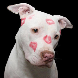 GETOUTOFMYHEAD (feat. Perry pressey) (Explicit)