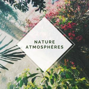 Nature atmosphères: Musique relaxante pour méditation équinoxe de printemps