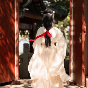 倾城 (DJ默涵) - 梦里花落封面