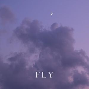 Fly