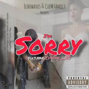 I'm Sorry (feat. Juicy_B) [Explicit]